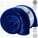 Manta Cobertor 2,00m x 1,8m Casal Microfibra