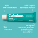 Calminex Pomada Anti-inflamatória Muscular Dores Pancadas 30g e 100g